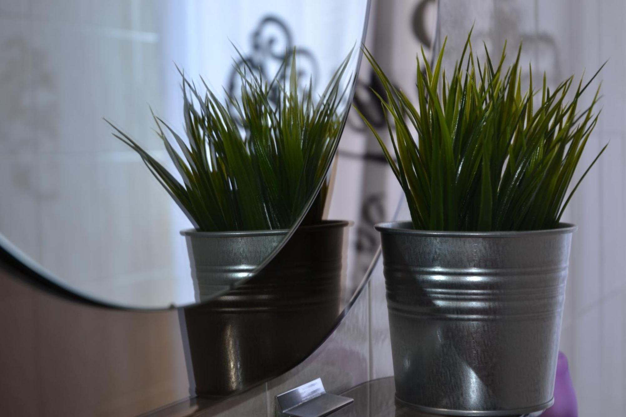 Apartment Bella Umag Zewnętrze zdjęcie